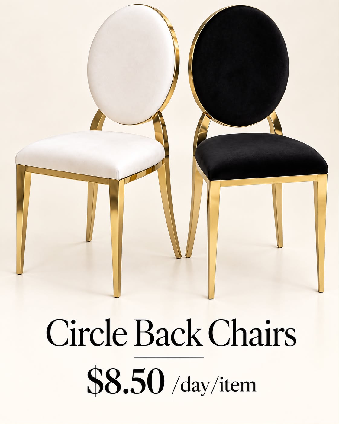 Circle back chair rental in white and black